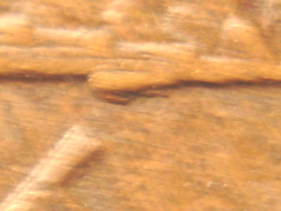 1960-D-Small-Date-Lincoln-Memorial-Cent--Die-Chips-And-?